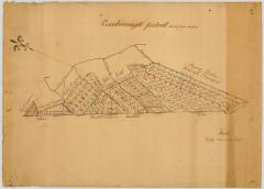 Map of Coxeborough Patent. Map #52