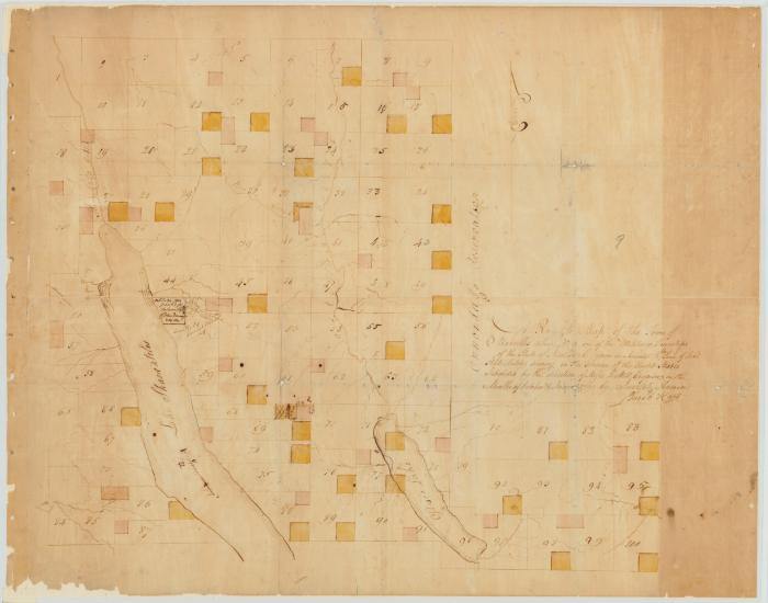 Map of Township Marcellus (No. 9). Map #109