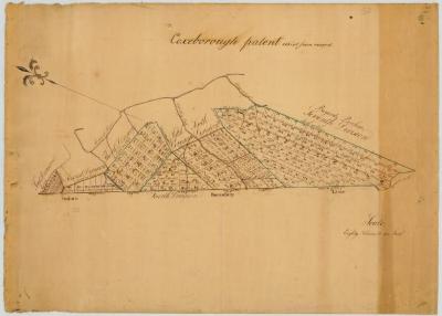 Map of Coxeborough Patent. Map #52