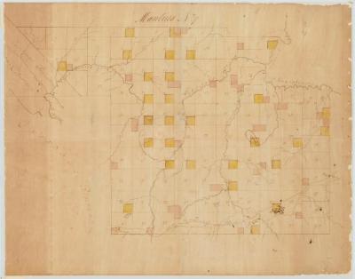 Map of Township Manlius (No. 7). Map #107