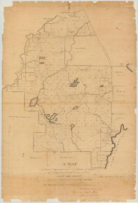 Map of unappropriated land in the County of Essex, in the Towns of Moriah, Elizabeth and Lewis, called the Iron Ore Tract. Map #59