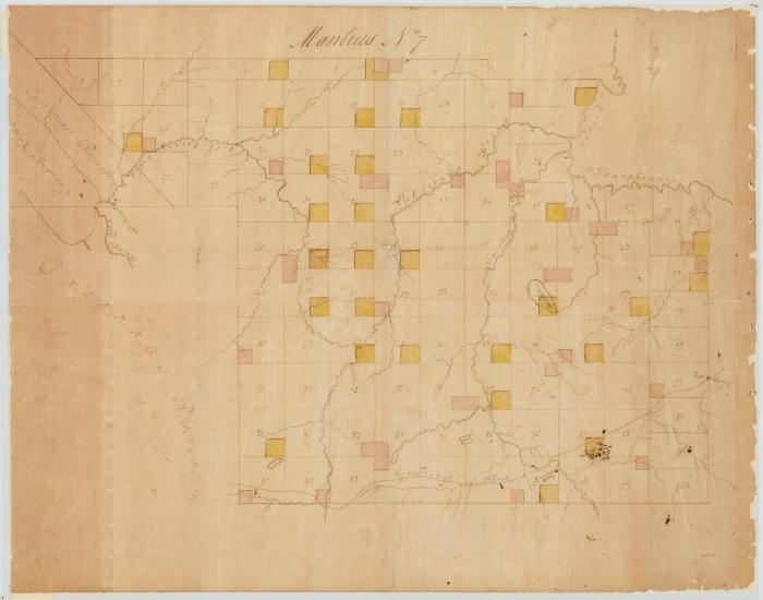 Map of Township Manlius (No. 7). Map #107