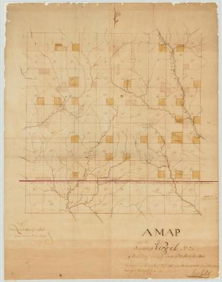 Map of Township Virgil (No. 24) of the Military Gratuity Lands. Map #124