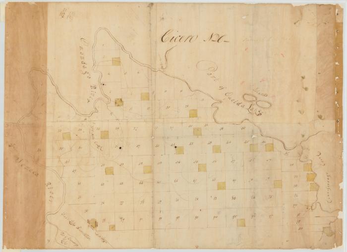 Map of Township Cicero, (No. 6). Map #106