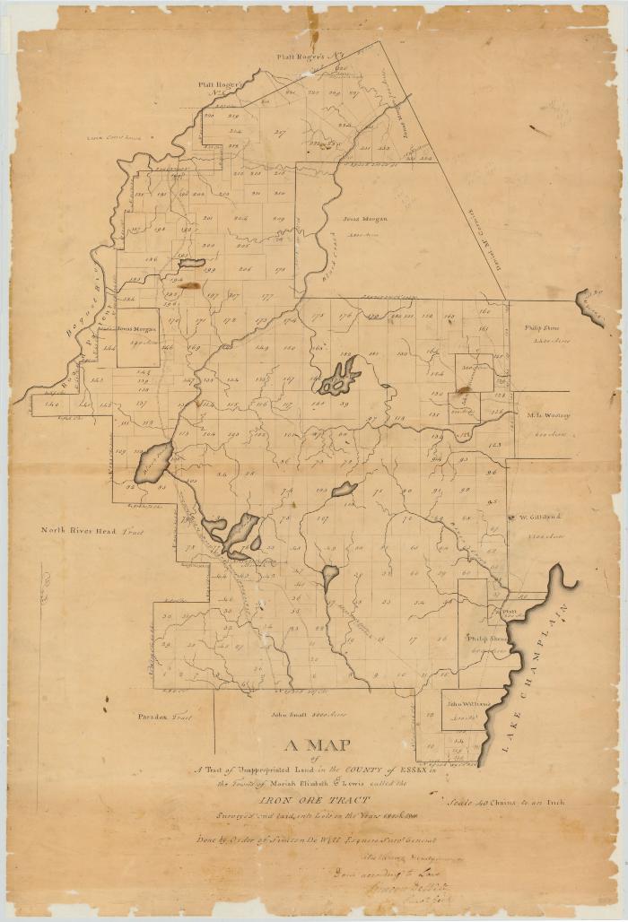 Map of unappropriated land in the County of Essex, in the Towns of Moriah, Elizabeth and Lewis, called the Iron Ore Tract. Map #59