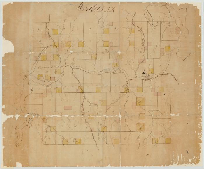 Map of Township Brutus (No. 4). Map #104