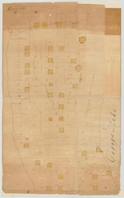 Map of Township Romulus (No. 11). Map #111