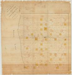 Map of the subdivision of Township No. 21 of the Military Lands. Map #121