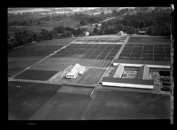 Saratoga Nursery, Aerial View