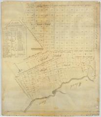 Map of Staley's Patent in Herkimer County. Map #193