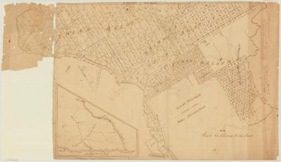 Map of Schnells Patent. Map #142