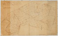 Map of a tract granted to Hoffman. Map #180