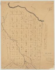 Map of Canastota Tract. Map #161