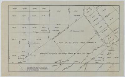 Map of unappropriated Lands in the Towns of Windham, Catskill, Canton and Freehold. Map #216B