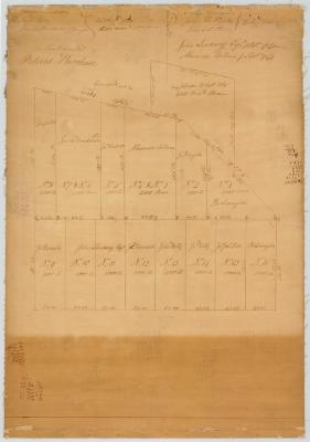 Map of Henderson's Purchase, or Petrie's Purchase. Map #170