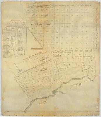 Map of Staley's Patent in Herkimer County. Map #193