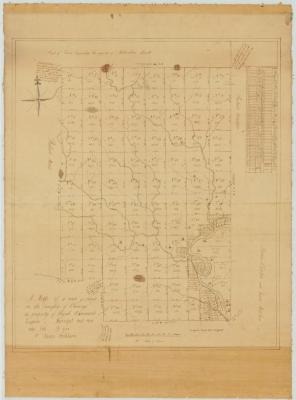 Map of  land in the Township of Cheningo, the property of Abijah Hammond, Esquire. Map #199
