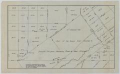 Map of unappropriated Lands in the Towns of Windham, Catskill, Canton and Freehold. Map #216B