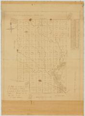 Map of  land in the Township of Cheningo, the property of Abijah Hammond, Esquire. Map #199