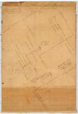 Map of a patent of William Markham, Duncan Campbell and Thomas Hobson. Map #172