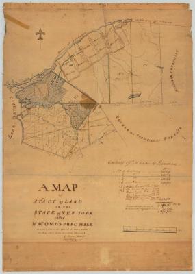 Map of a tract of land in New York State called Macomb's Purchase. Map #217