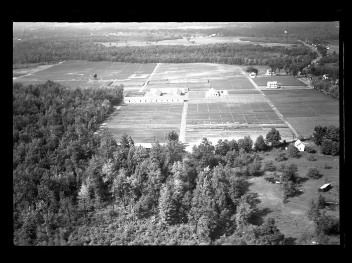 Saratoga Nursery, Aerial View