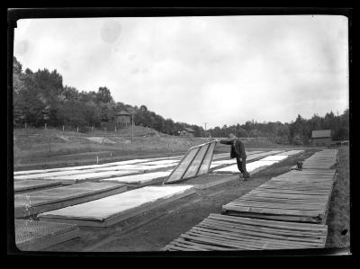 Nursery at Saranac Inn Station