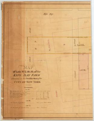 Map of Lots No. 2, 16, 18, of the Kip's Bay Farm in the 12th ward of the City of New York. Map #304A