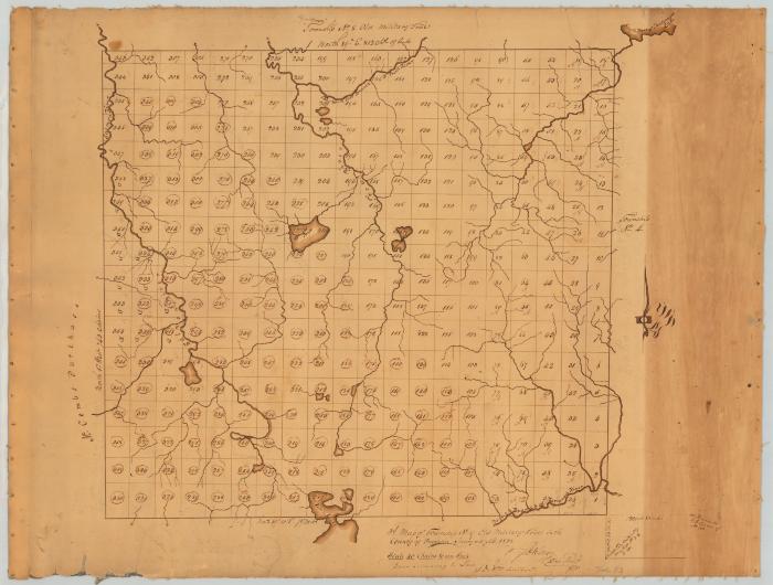 Map of Township No. 9, Old Military Tract. Map #255