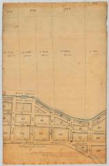 Map of the Village of Lodi. Map #294