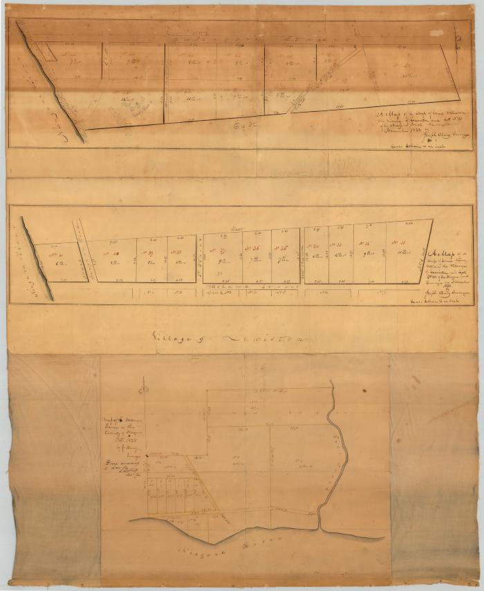 Map of Lots No. 20 and 21 of the Niagara Tract and a map of Stedman Farm. Map #306