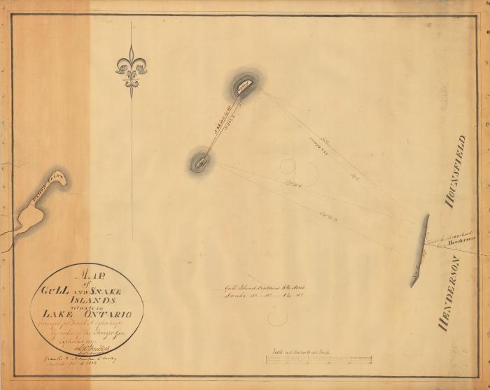 Map of Gull and Snake Island, situate on Lake Ontario. Map #267