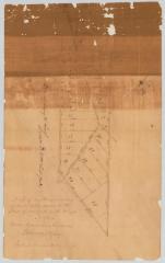 Map of 1,000 acres of land known as the Purchase of 1825. Map #278A