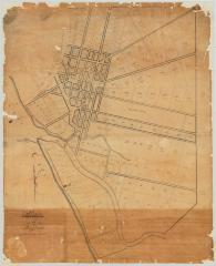 Map of the Village of Buffalo. Map #289