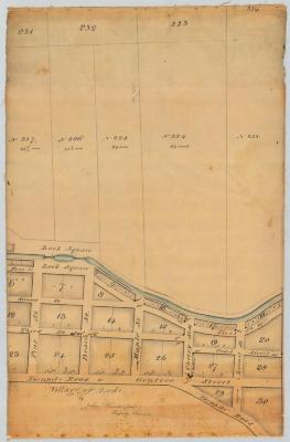 Map of the Village of Lodi. Map #294