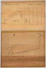 Map of Townships No. 3 and 4 in the 2d range of the Granger and Hornby Tract. Map #282