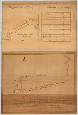 Map of Townships No. 3 and 4 in the 2d range of the Granger and Hornby Tract. Map #282