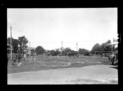 Gathering Cones for Seed at Willsboro