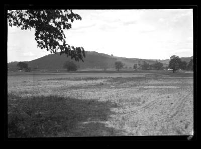 Horseheads Nursery