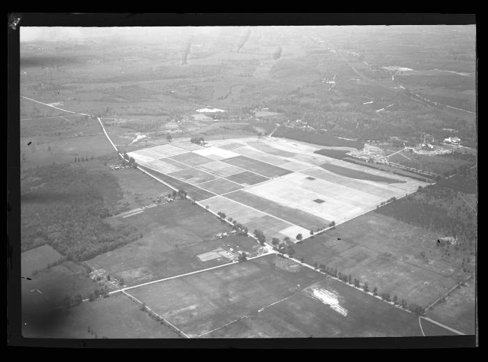 Saratoga Nursery, Aerial View