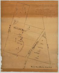 Map and re-survey of several blocks in the Village of Oneida Castleton. Map #317