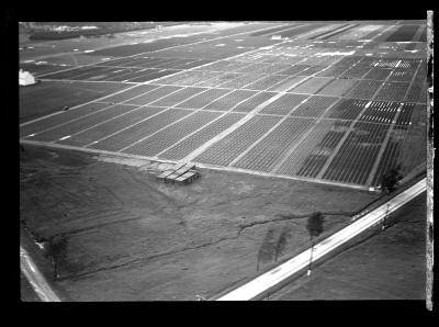 Saratoga Nursery, Aerial View