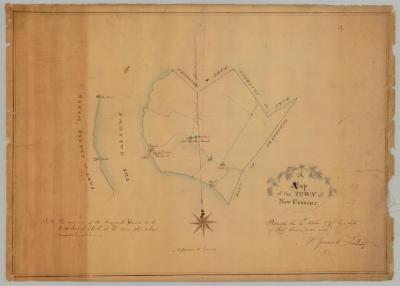 Map of the Town of New Utrecht, Kings County. Map #417