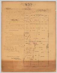 Map of Great Lots Nos. 16 and 26 lying in the Military Tract in the Town of Truxton. Map #442