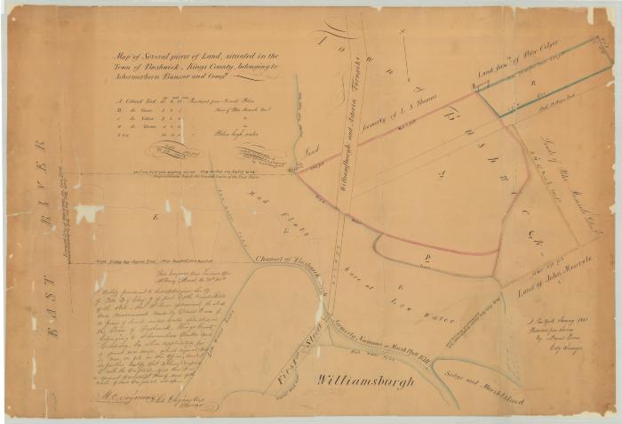 Map of several pieces of land situated in the Town of Bushwick, Kings County. Map #464