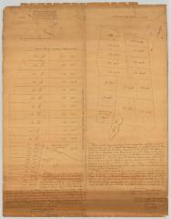 Map of a certain tract of land in Westchester County, commonly called the East Patent. Map #416