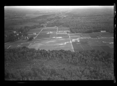 Saratoga Nursery, Aerial View