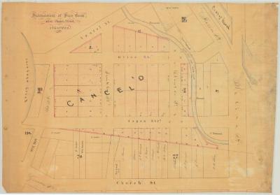 Map of State Lands at Syracuse, N. Y., with subdivisions. Map #496D