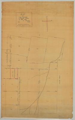 State Gore in Clinton County. Map #504