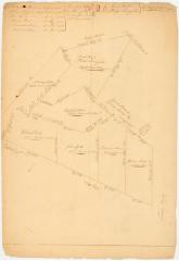 Map of the Town of Livingston. Map #233